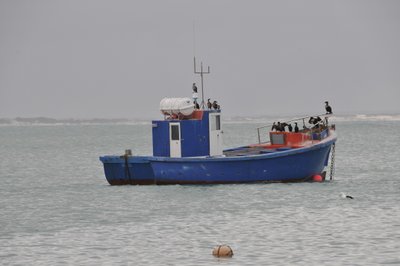 20090821081837 - Fishing Boat with Cormorants, Plettenberg Bay