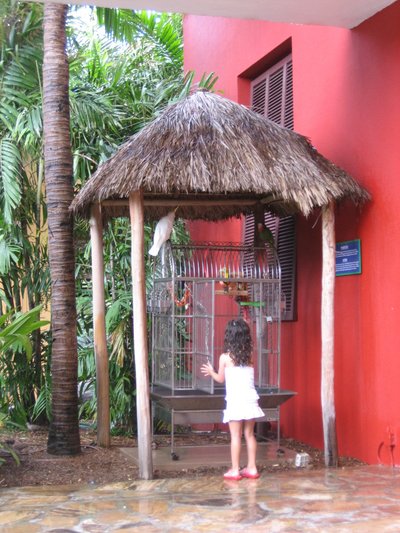 Curious Little Girl And Bird